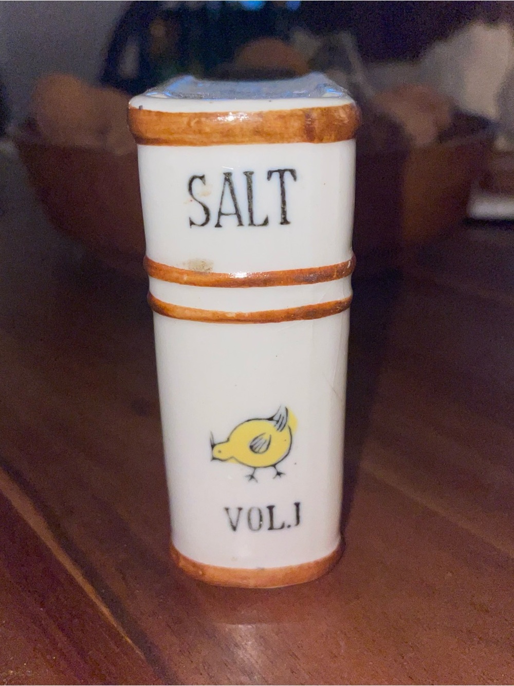 Vintage Ceramic Book Salt Shaker Trinket